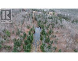 680 Westmeath Road, Whitewater Region, ON K8A6W2 Photo 14