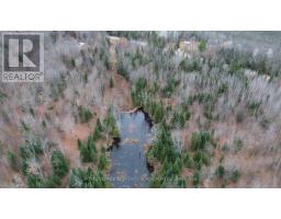 680 Westmeath Road, Whitewater Region, ON K8A6W2 Photo 16