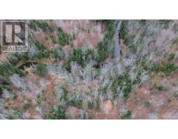 680 Westmeath Road, Whitewater Region, ON K8A6W2 Photo 19
