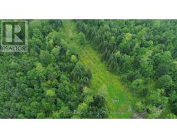 680 Westmeath Road, Whitewater Region, ON K8A6W2 Photo 6