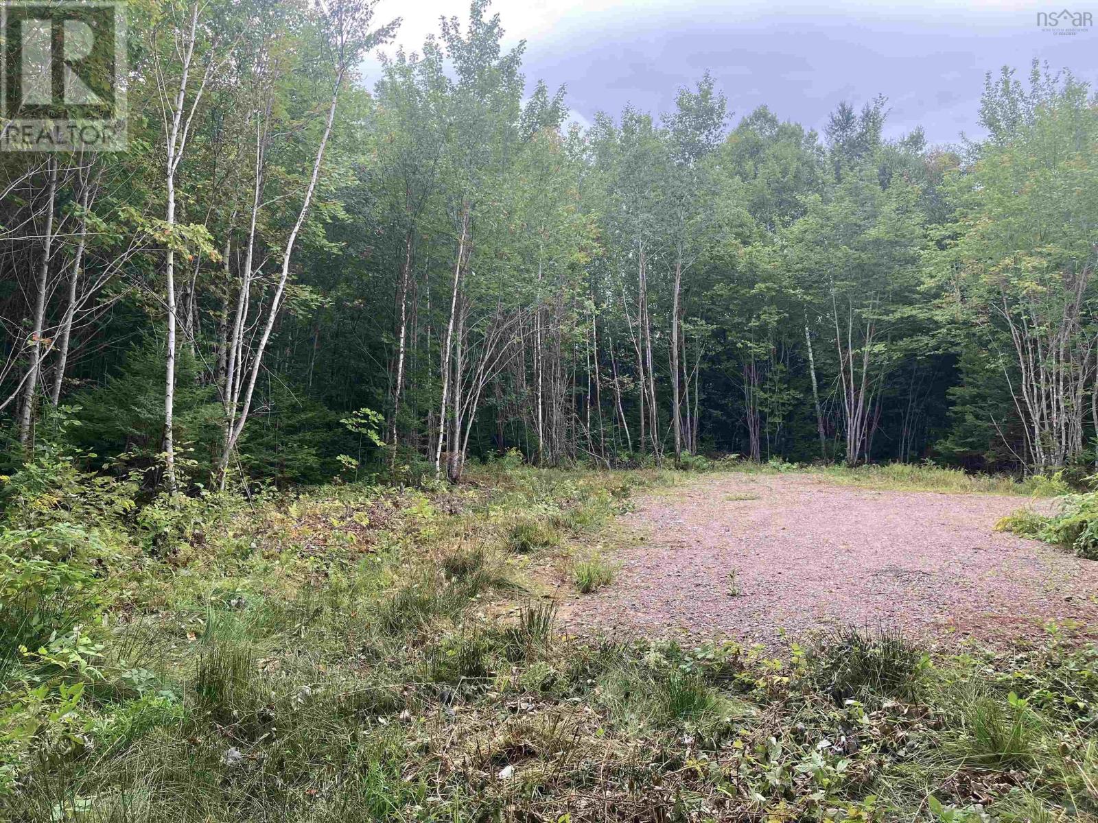 Property 4 of 10 of Lot 2020-5 Highway 223