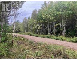 Lot 2020-5 Highway 223, Little Narrows, NS B0E1T0 Photo 6