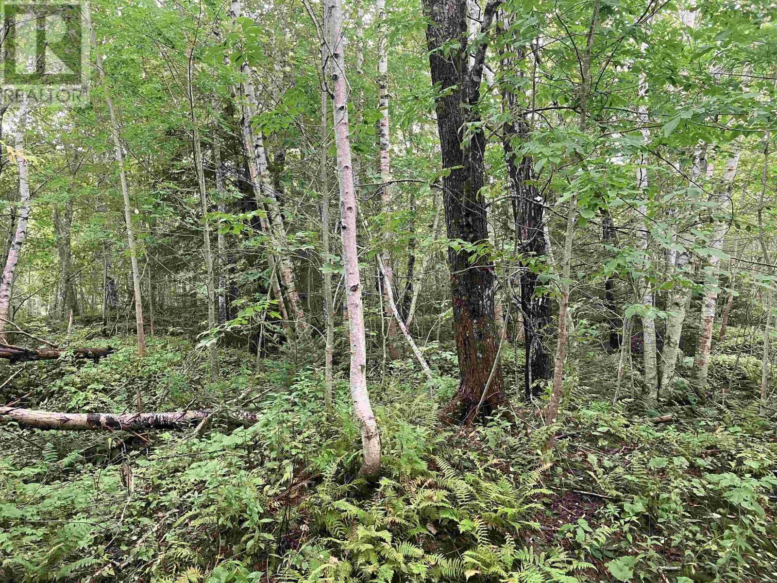 Property 5 of 10 of Lot 2020-5 Highway 223