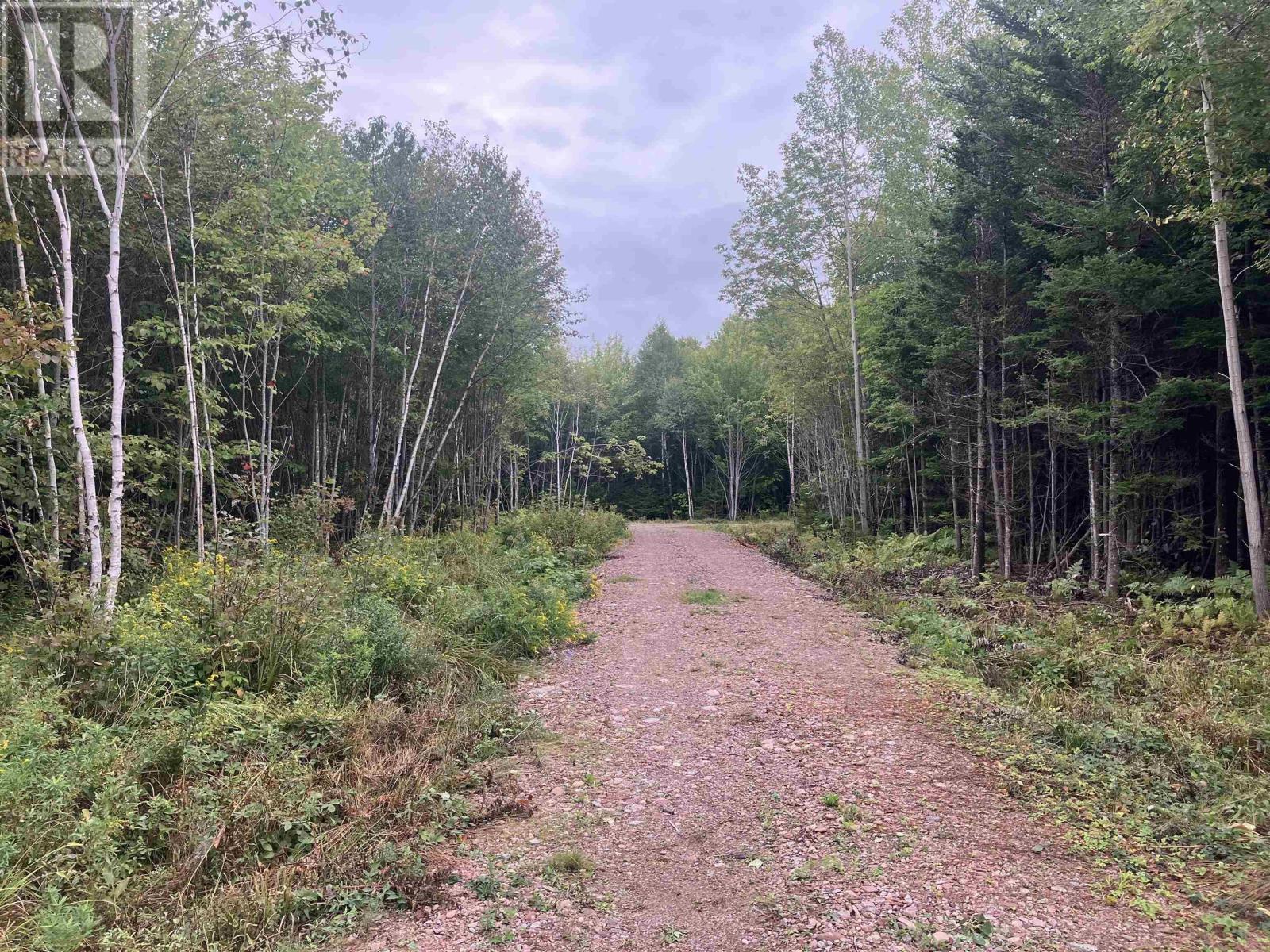 Property 3 of 10 of Lot 2020-5 Highway 223