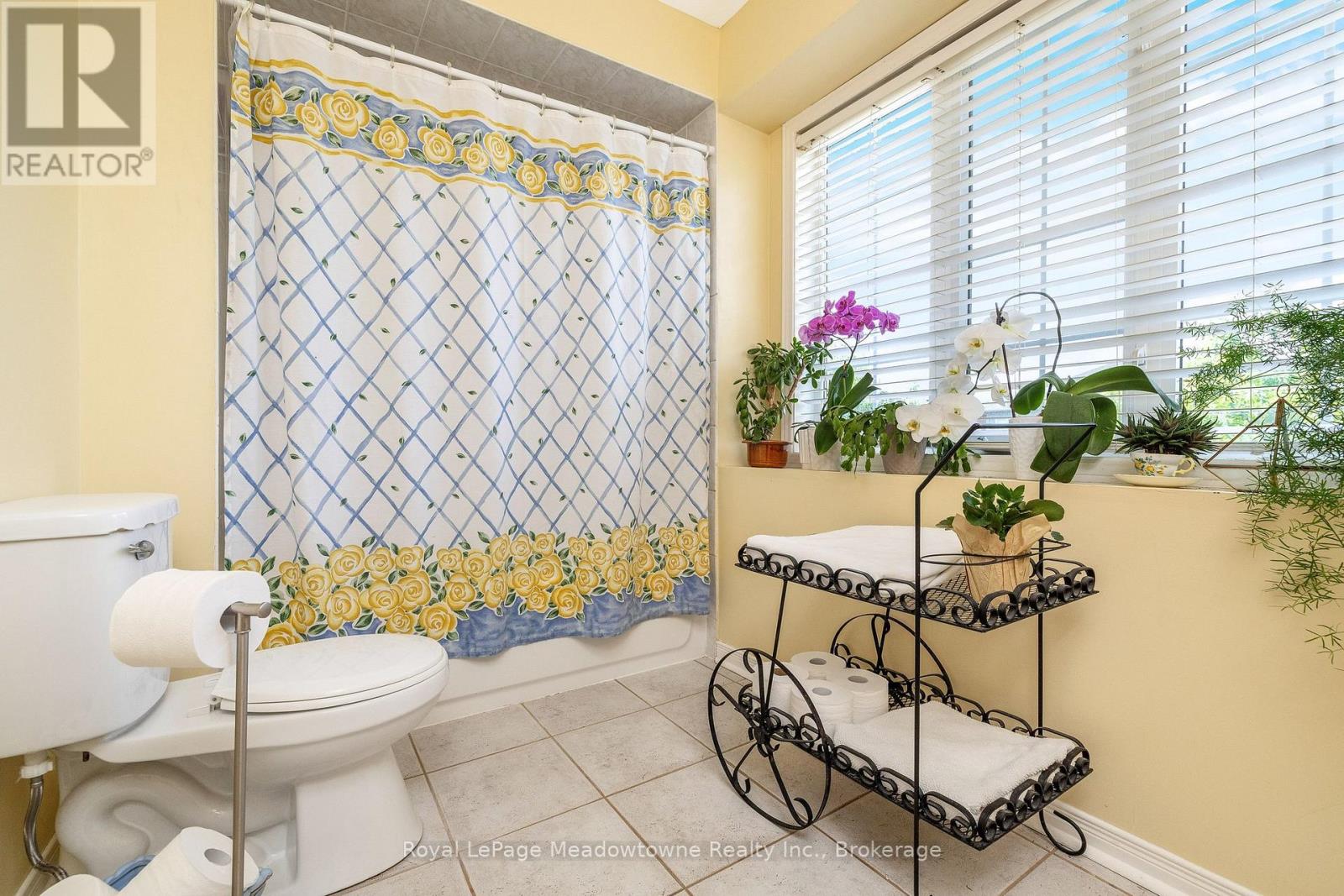 248 PETTIGREW TRAIL - 20
