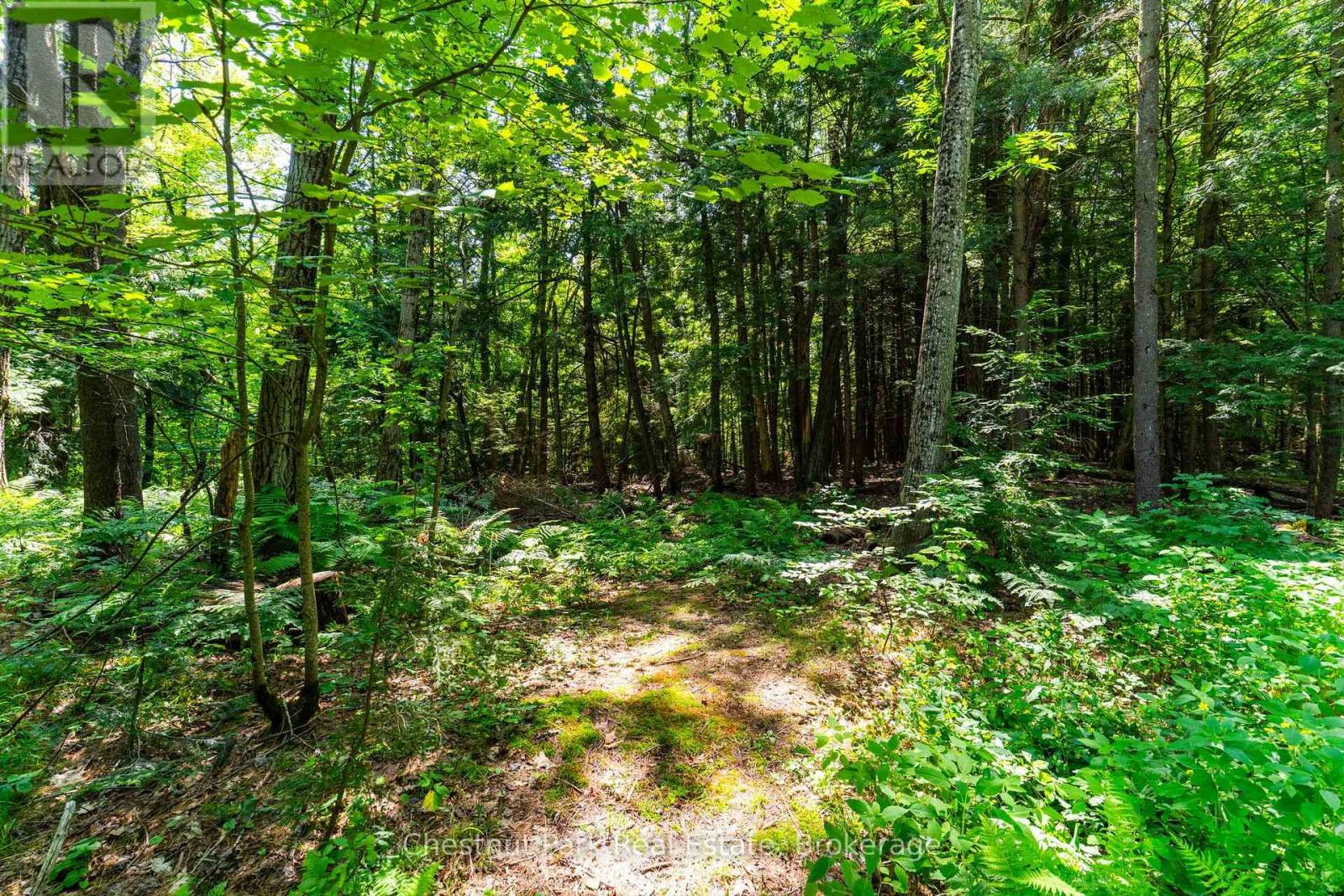 1130 TAYLOR ROAD - 31
