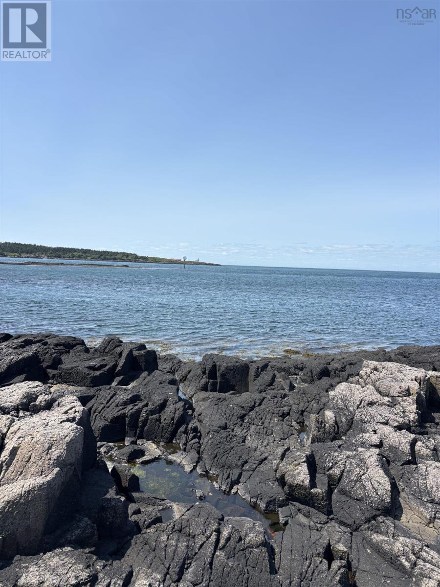 Cow Ledge Bay of Fundy Land