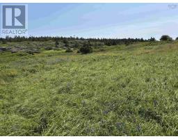 Cow Ledge Bay Of Fundy Land, Freeport, NS B0V1B0 Photo 14