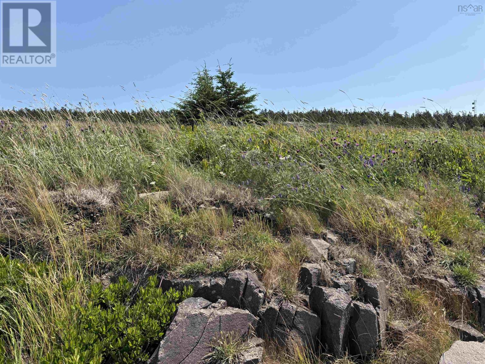 Property 21 of 24 of Cow Ledge Bay of Fundy Land