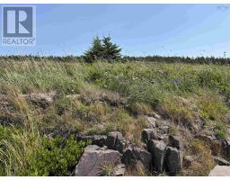 Cow Ledge Bay Of Fundy Land, Freeport, NS B0V1B0 Photo 21