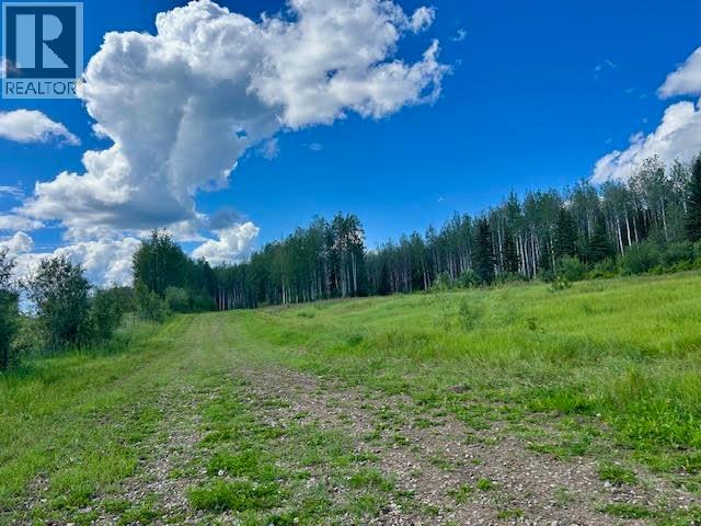 319 ALASKA HIGHWAY, Fort Nelson — photo 3