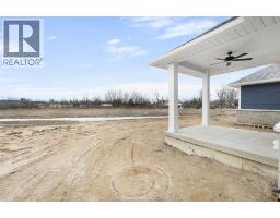 243 Dolores Street, Essex, ON N8M0C5 Photo 21