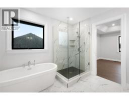 251 Dolores Street, Essex, ON N8M0C5 Photo 22