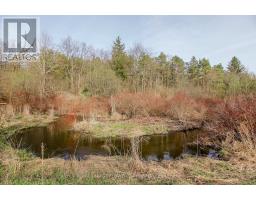 7555 Old Church Road, Caledon, ON L7E0P5 Photo 43