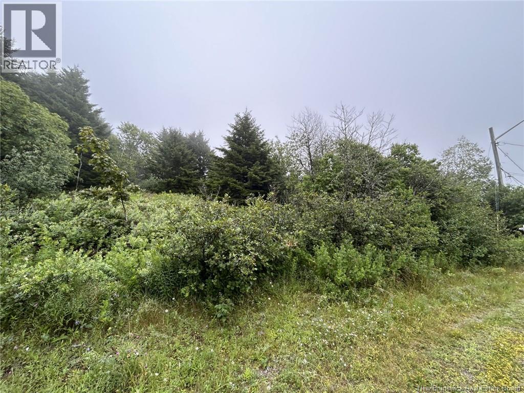 Lot Garnett Road, Saint John — photo 3