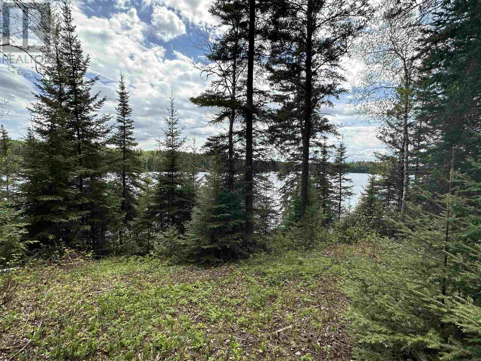 Pt 1 & 3 Snib LK, Red Lake — photo 2