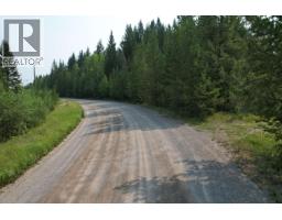 Lot C Lower Houseman Road, Forest Grove, BC V0K1G0 Photo 11