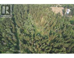 Lot C Lower Houseman Road, Forest Grove, BC V0K1G0 Photo 6