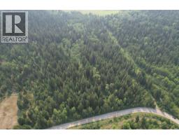Lot C Lower Houseman Road, Forest Grove, BC V0K1G0 Photo 8