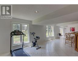 1008 Mount Albert Road, East Gwillimbury, ON L0G1V0 Photo 24