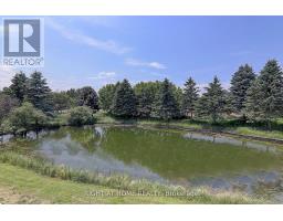 1008 Mount Albert Road, East Gwillimbury, ON L0G1V0 Photo 29