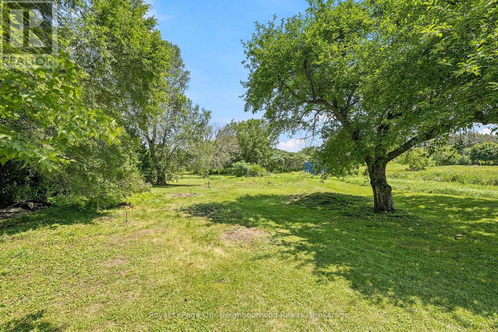 4599 TRULLS ROAD - 13