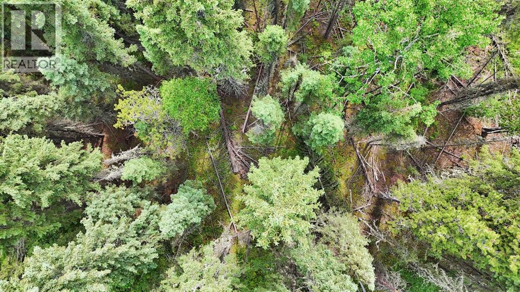 0 Range Road 85 - Photo 20