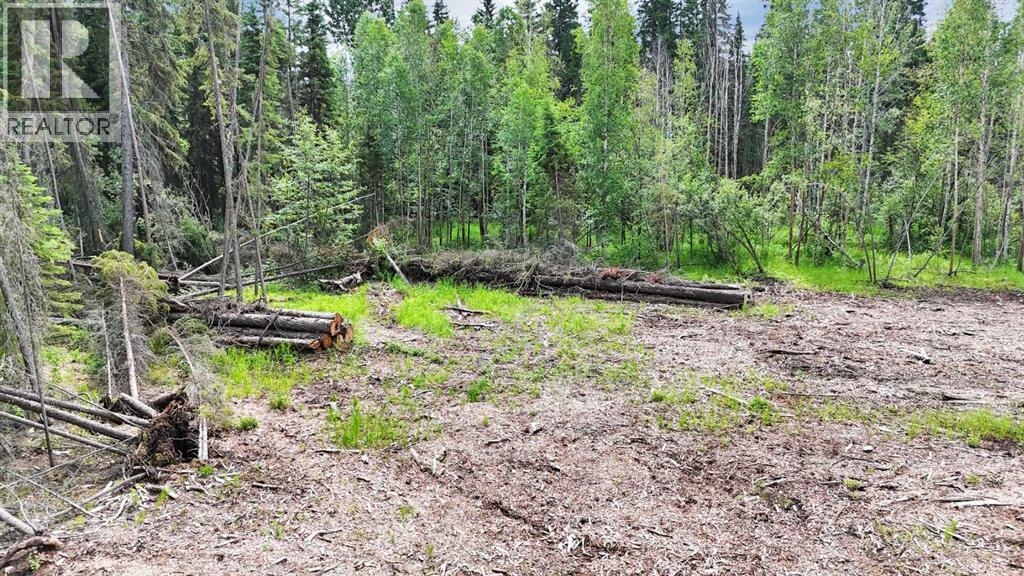 0 Range Road 85 - Photo 15