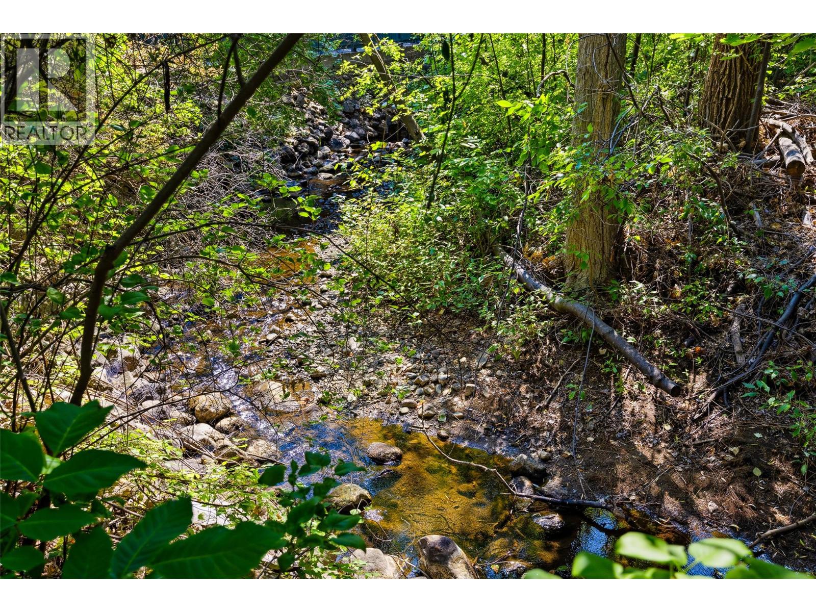 10330 Meadow Road - 64