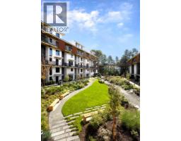 123 310 Salter Street, New Westminster, BC V3M0N7 Photo 13