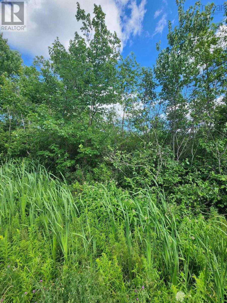 Lot Highway 236, Kennetcook — photo 3