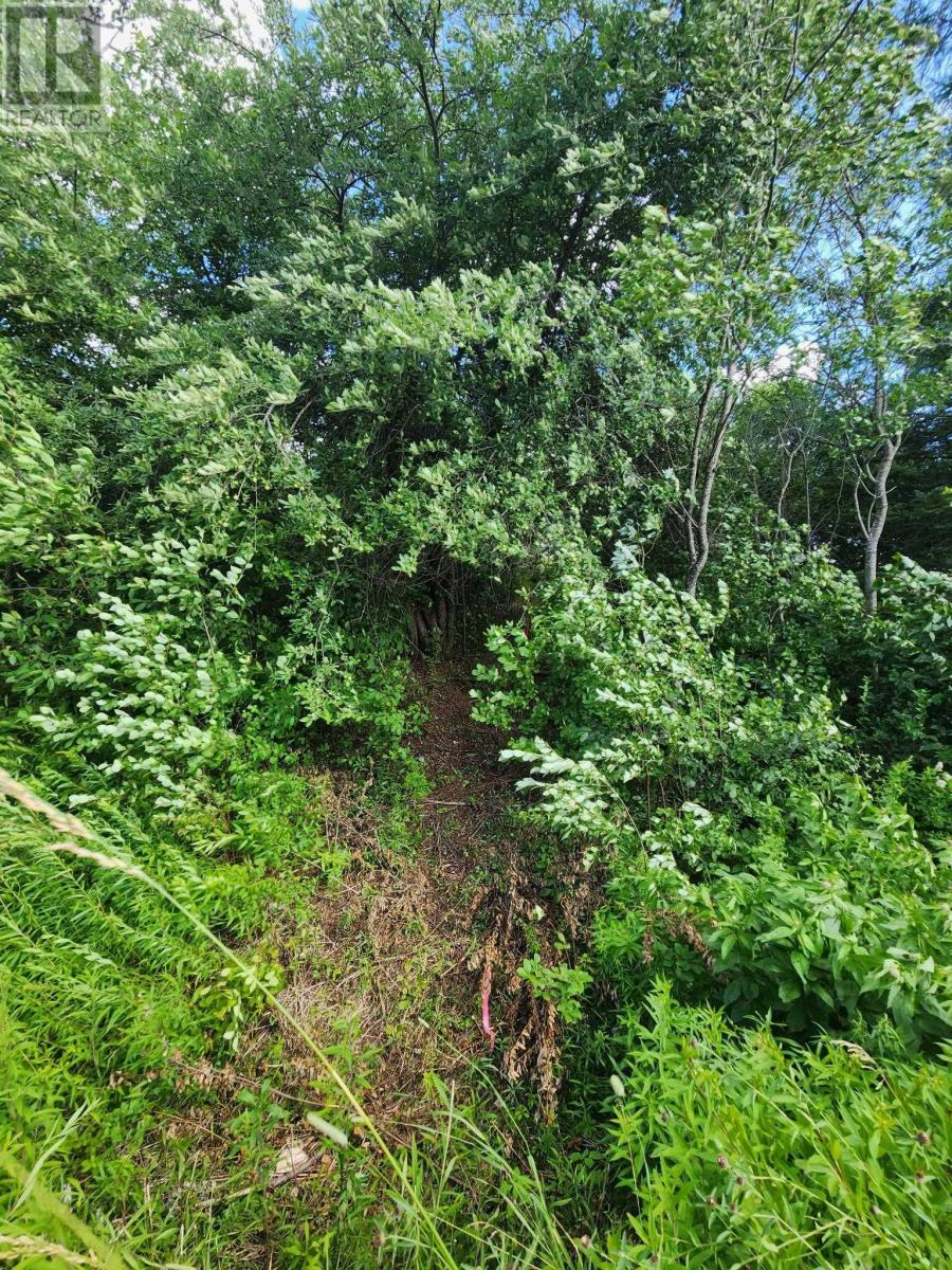 Lot Highway 236, Kennetcook — photo 2