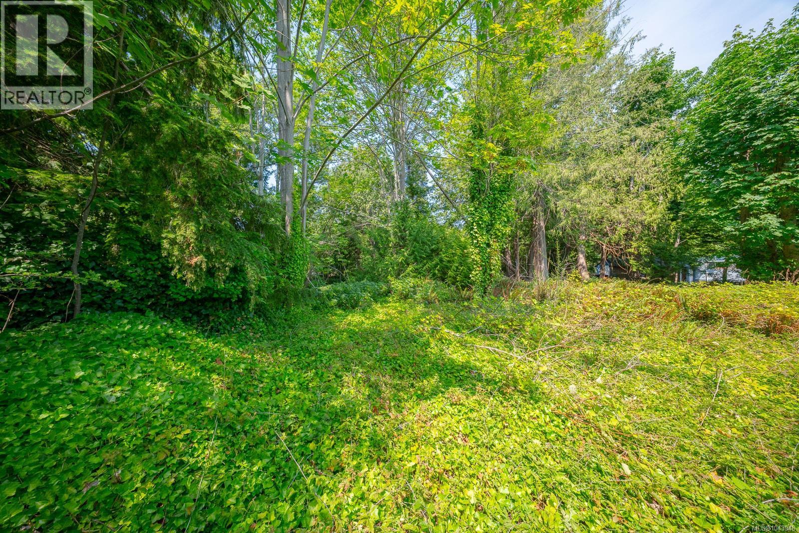 1319 Lee Rd - 10