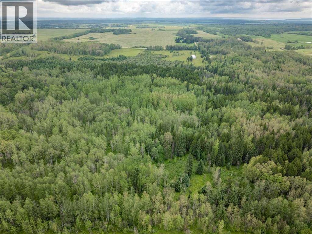 47510 RGE RD 31 - Photo 11