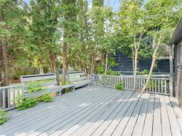 234 Semple Avenue, Winnipeg, MB R2V1B5 Photo 21