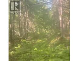 Lot 4 Maritime Road, Kawartha Lakes, ON K0M2B0 Photo 7