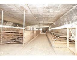 49074 Rge Rd 241, Rural Leduc County, AB T9E2R8 Photo 49