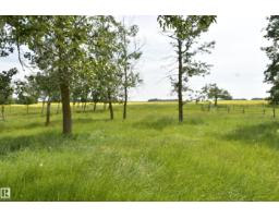 49074 Rge Rd 241, Rural Leduc County, AB T9E2R8 Photo 44