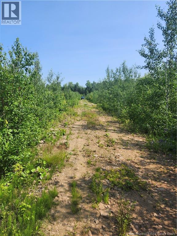LOT 116 Highway, Harcourt — photo 2