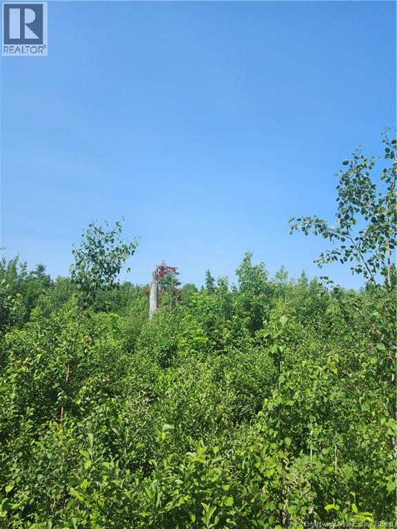 LOT 116 Highway, Harcourt — photo 3