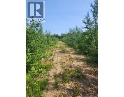 LOT 116 Highway, photo 2