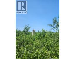 LOT 116 Highway, photo 3