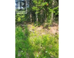 LOT 116 Highway, photo 4