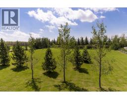 Laundry room - 421026 Range Road 284, Rural Ponoka County, AB T0C2J0 Photo 17