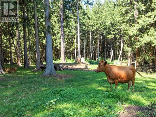 10440 KELLY CREEK ROAD, Powell River