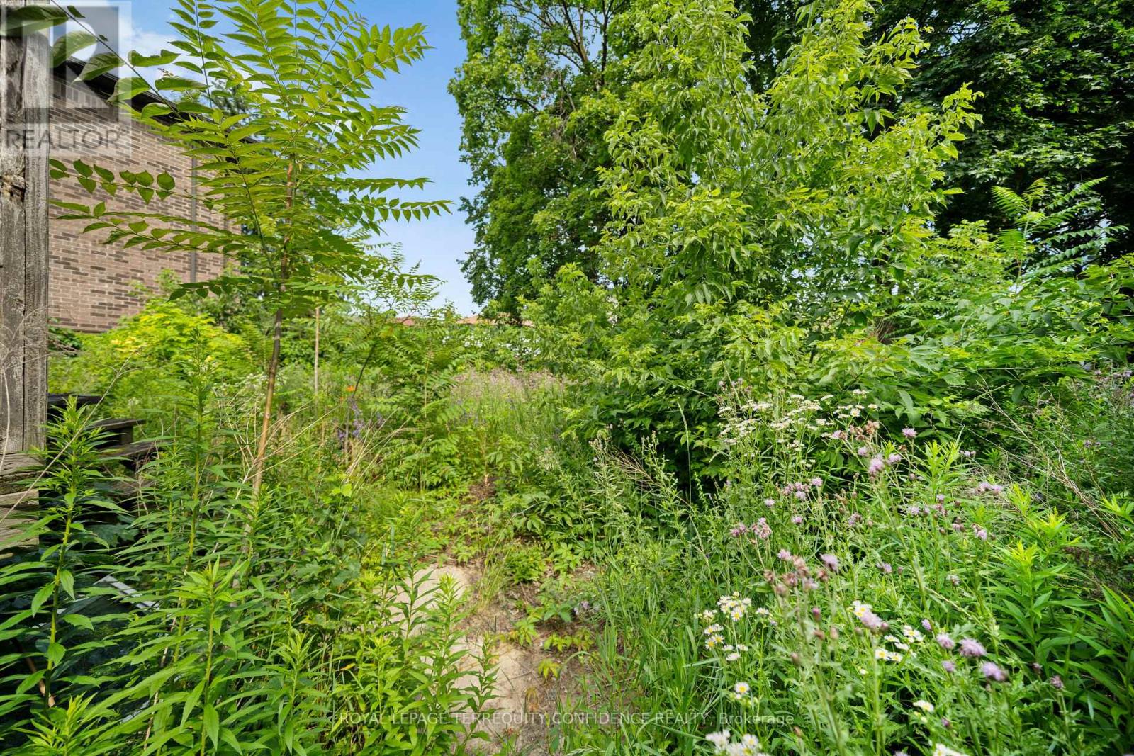 66 BURNDALE AVENUE - 7