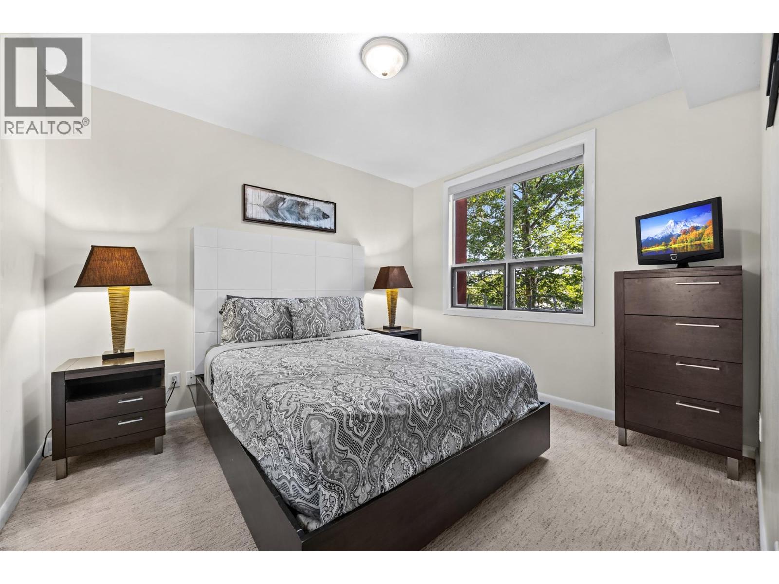 #250 654 COOK Road - 10