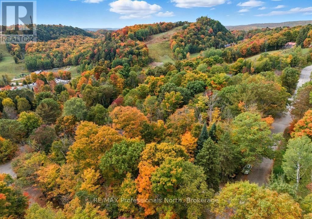 1755 SKYLINE DRIVE - 22