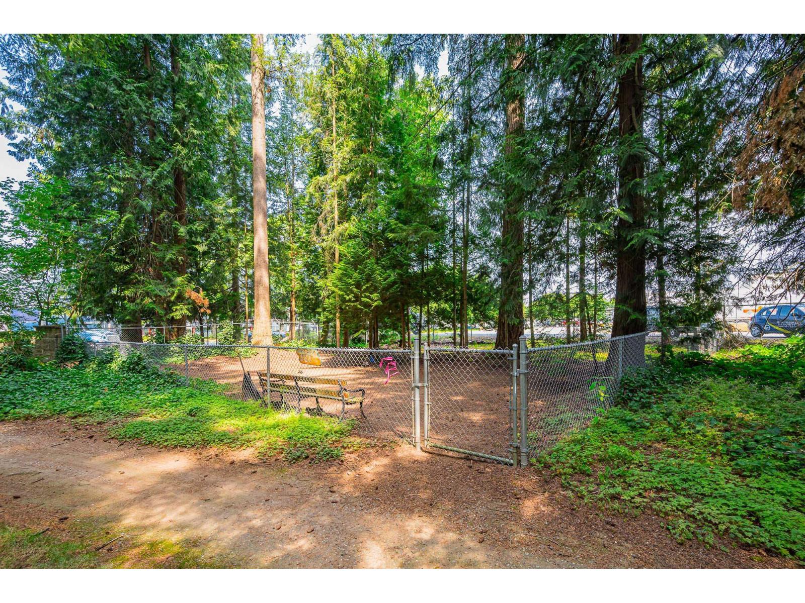 2 Bed, 1 Bath House for Sale in Langley – 34 9080 198 STREET, Langley – MLS# R3148953 - Image 32
