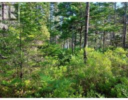 Lot 16 Walkerville Rd., Walkerville, NS B0E1J0 Photo 10